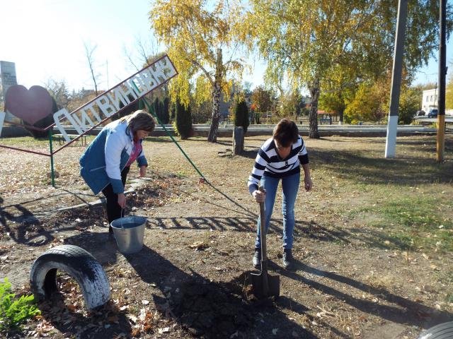 День древонасаждения