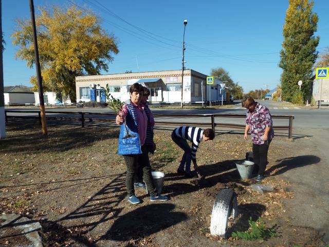 День древонасаждения